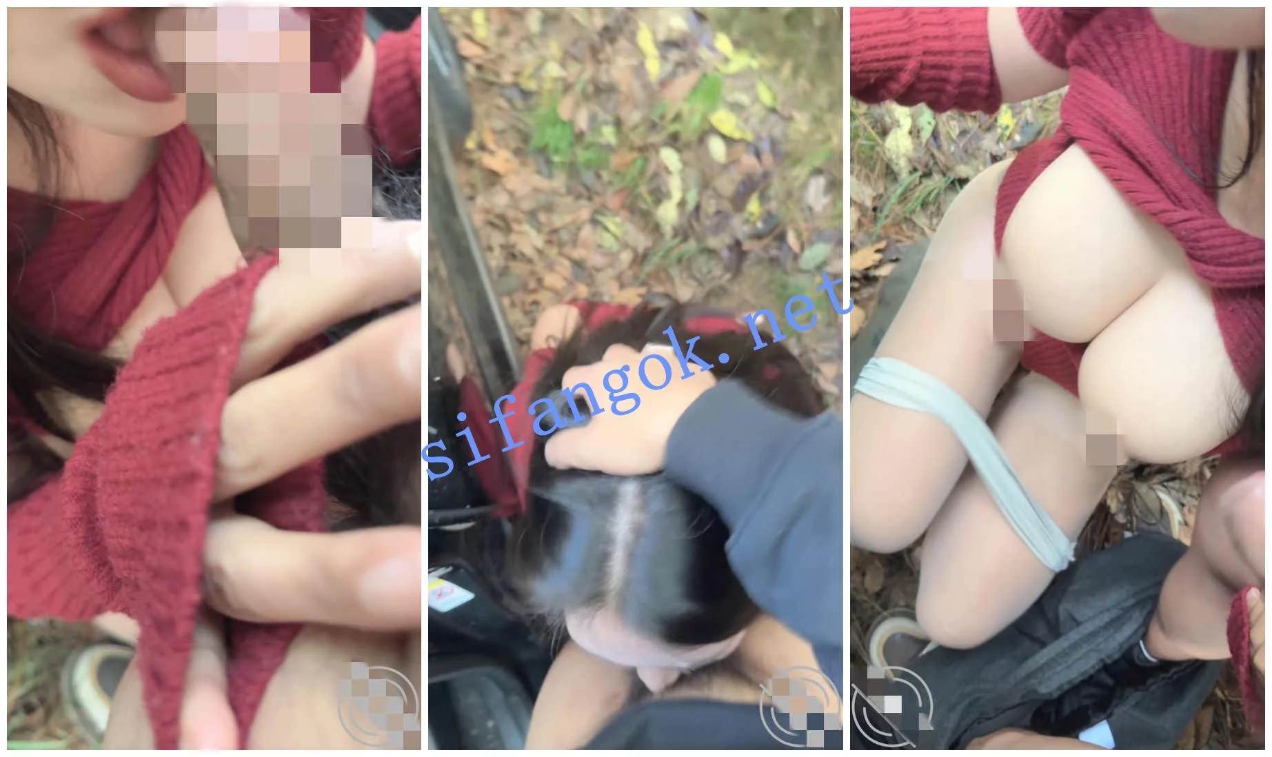 ⭐外站操逼大神正义君⭐户外车震爆草偷情人妻,极品美胸 图 07